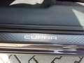 CUPRA Terramar 2.0 TSI VZ DSG 4DRIVE AHK/STHZ/PANO/MATRIX Violett - thumbnail 17