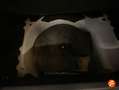 Opel Corsa 1.2T XHL S/S Edition 100 Blanco - thumbnail 16