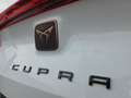 CUPRA Formentor 4DRIVE TDI DSG ACC+BEATS+KAMERA+KEYLESS+NAVI+APP+1 Weiß - thumbnail 21