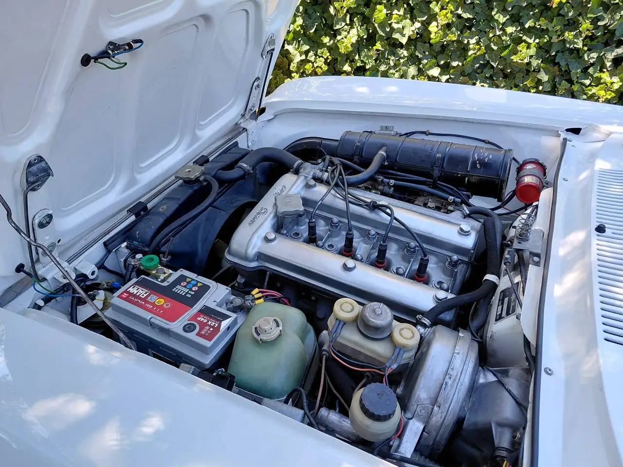 Alfa Romeo GT 2000, foto 9