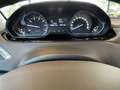 Peugeot 2008 1.2 PureTech Blue Lion,Panoramadak,Navigatie,Parke Rot - thumbnail 15
