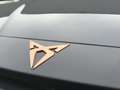 CUPRA Leon 1.5 eTSI VZ Sport Edition COPPER DRIVEMODE SFEER Grau - thumbnail 38