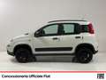 Fiat Panda 0.9 t.air t. 4x4 s&s 85cv Weiß - thumbnail 3