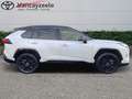 Toyota RAV 4 Style Plus+360°cam+nav+sens V& Wit - thumbnail 3