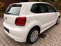 Volkswagen Polo 1.2 TDI 89g CO2 BlueMotion *Klima* Weiß - thumbnail 4