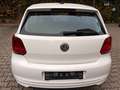 Volkswagen Polo 1.2 TDI 89g CO2 BlueMotion *Klima* Weiß - thumbnail 5