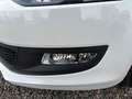 Volkswagen Polo 1.2 TDI 89g CO2 BlueMotion *Klima* Weiß - thumbnail 24