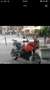 Triumph Tiger 1050 TIGER 1050 SE ABS - thumbnail 3
