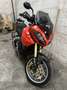 Triumph Tiger 1050 TIGER 1050 SE ABS - thumbnail 1
