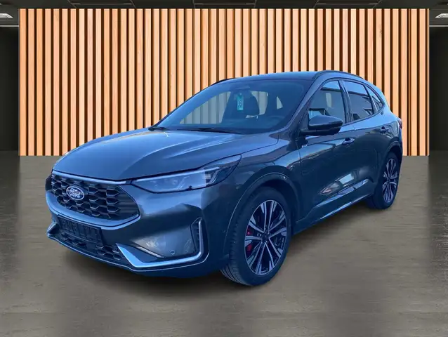 Ford Kuga view 2