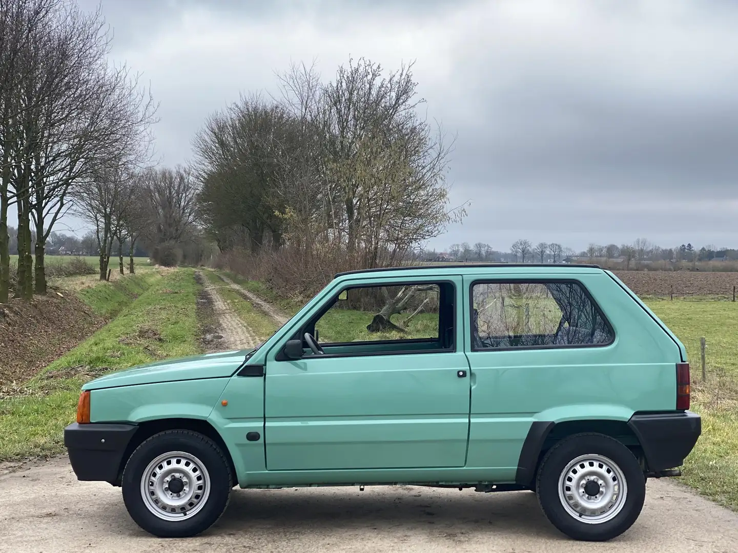 Fiat Panda 1.1 COLLEGE, 1STE EIGENAAR, 34.500KM Grün - 2