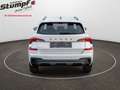 Skoda Kamiq Kamiq 1.5 TSI DSG Selection SHZ/KAMERA/KEYLESS Weiß - thumbnail 5