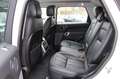 Land Rover Range Rover Sport 2.0 Si4  PHEV SE 404 cv MY 2019 Promo Bianco - thumbnail 8