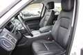 Land Rover Range Rover Sport 2.0 Si4  PHEV SE 404 cv MY 2019 Promo Bianco - thumbnail 7