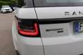 Land Rover Range Rover Sport 2.0 Si4  PHEV SE 404 cv MY 2019 Promo Bianco - thumbnail 6