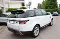Land Rover Range Rover Sport 2.0 Si4  PHEV SE 404 cv MY 2019 Promo Bianco - thumbnail 4