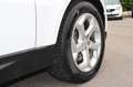 Land Rover Range Rover Sport 2.0 Si4  PHEV SE 404 cv MY 2019 Promo Bianco - thumbnail 14