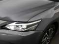 Lexus CT 200h BUSINESS LINE + CAMERA / NAVIGATIE / LED / DEALER Grijs - thumbnail 30