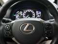 Lexus CT 200h BUSINESS LINE + CAMERA / NAVIGATIE / LED / DEALER Grijs - thumbnail 15