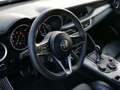 Alfa Romeo Stelvio B-Tech Q4 2.0 280PS Grau - thumbnail 6