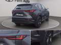 Lexus NX 350h 2.5 premium+ 4wd 244cv e-cvt Gris - thumbnail 16