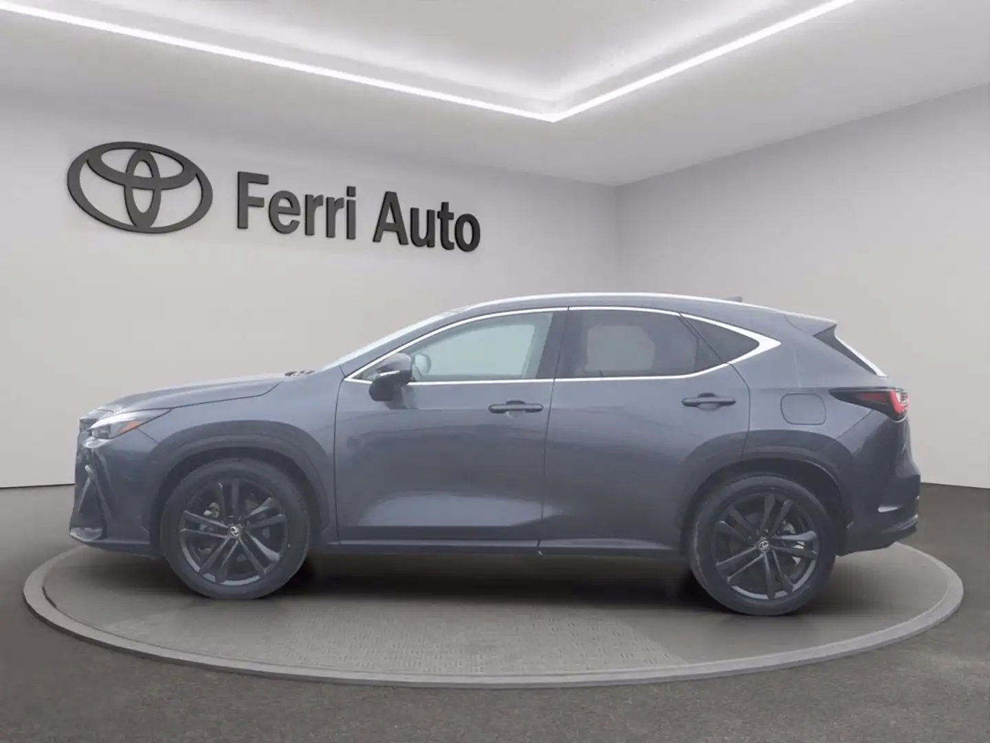 Lexus NX 350h 2.5 premium+ 4wd 244cv e-cvt Gris - 2