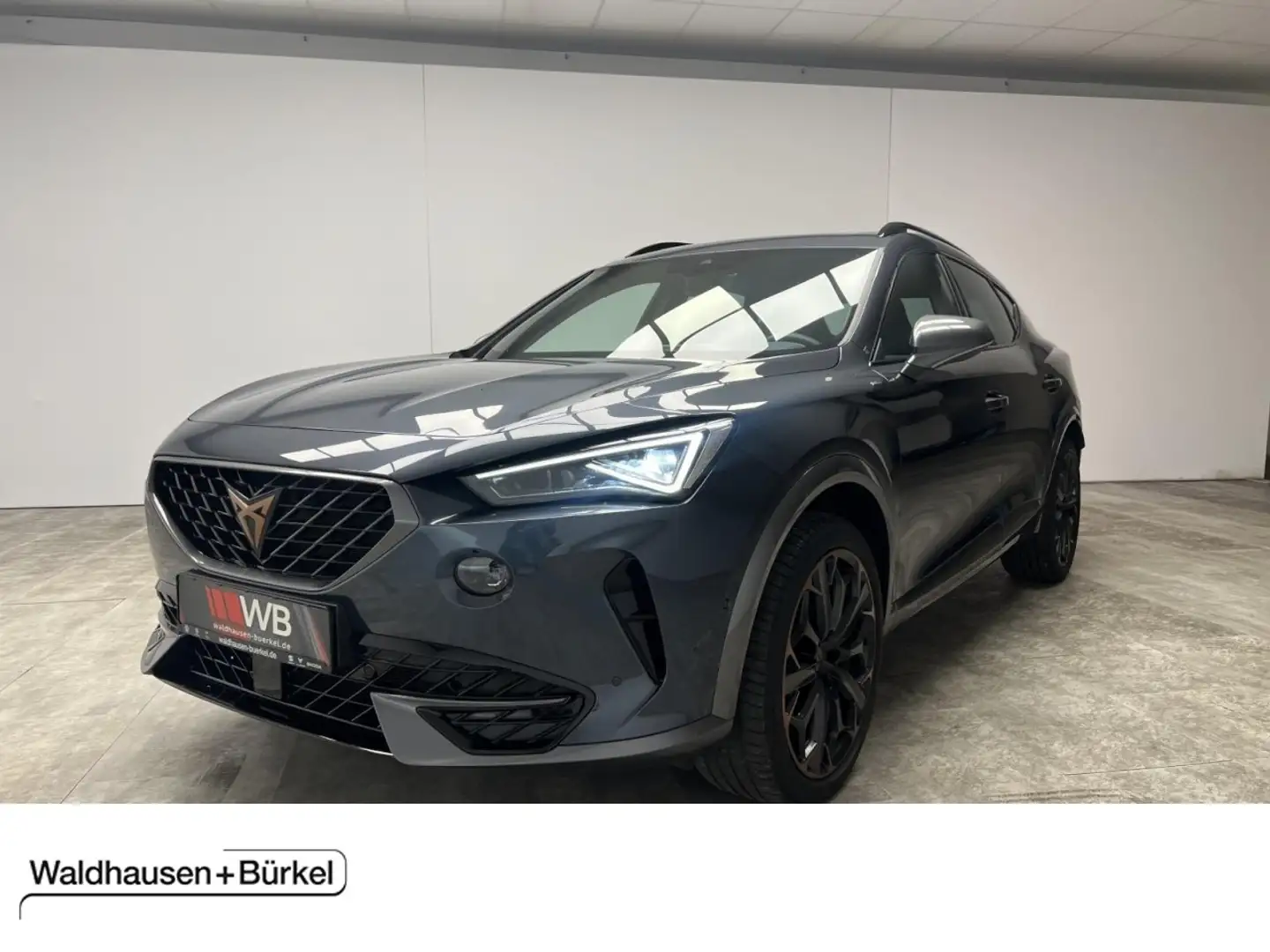 CUPRA Formentor VZ 2.0 TSI DSG 4Drive Klima Navi Leder Grau - 1