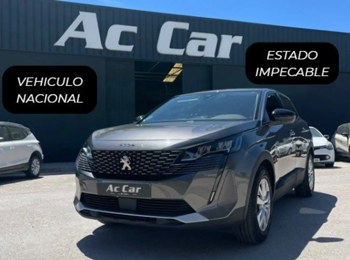Peugeot 3008 1.5 BlueHDi 96kW (130CV) S&S Active Gris - 1