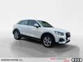 Audi Q2 TODOTERRENO 1.0 30 TFSI ADVANCED 116 5P Blanco - thumbnail 15