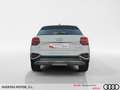 Audi Q2 TODOTERRENO 1.0 30 TFSI ADVANCED 116 5P Blanco - thumbnail 5