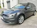 Volkswagen Golf Variant 1.6TDI Last Edition Gris - thumbnail 7