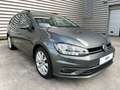 Volkswagen Golf Variant 1.6TDI Last Edition Gris - thumbnail 1