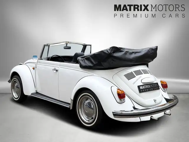 Volkswagen Beetle view 6