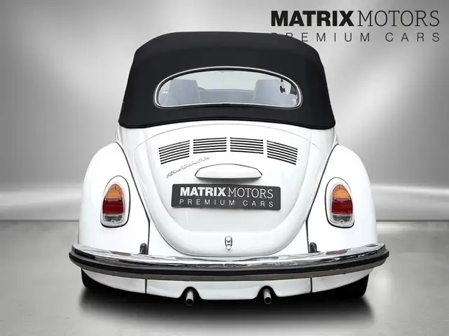Volkswagen Beetle view 14