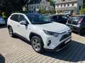 Toyota RAV 4 Hybrid 4x4 Lounge / JBL / Vollausstattung / AHK Blanc - thumbnail 2