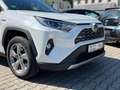 Toyota RAV 4 Hybrid 4x4 Lounge / JBL / Vollausstattung / AHK Blanc - thumbnail 3