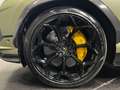 Lamborghini Urus Performante Verde - thumbnail 7