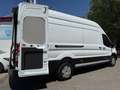 Ford Transit 350 96kW L4H3 Van Trend RWD Blanco - thumbnail 4