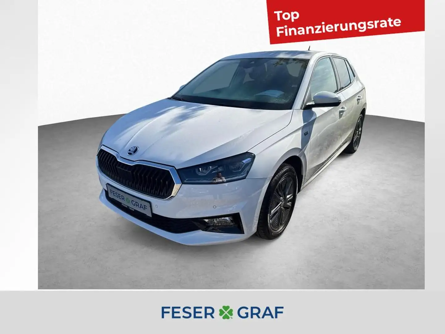 Skoda Fabia Drive 1.0 TSI 5-Gang *KESSY*KAMERA*WINTER Bianco - 1