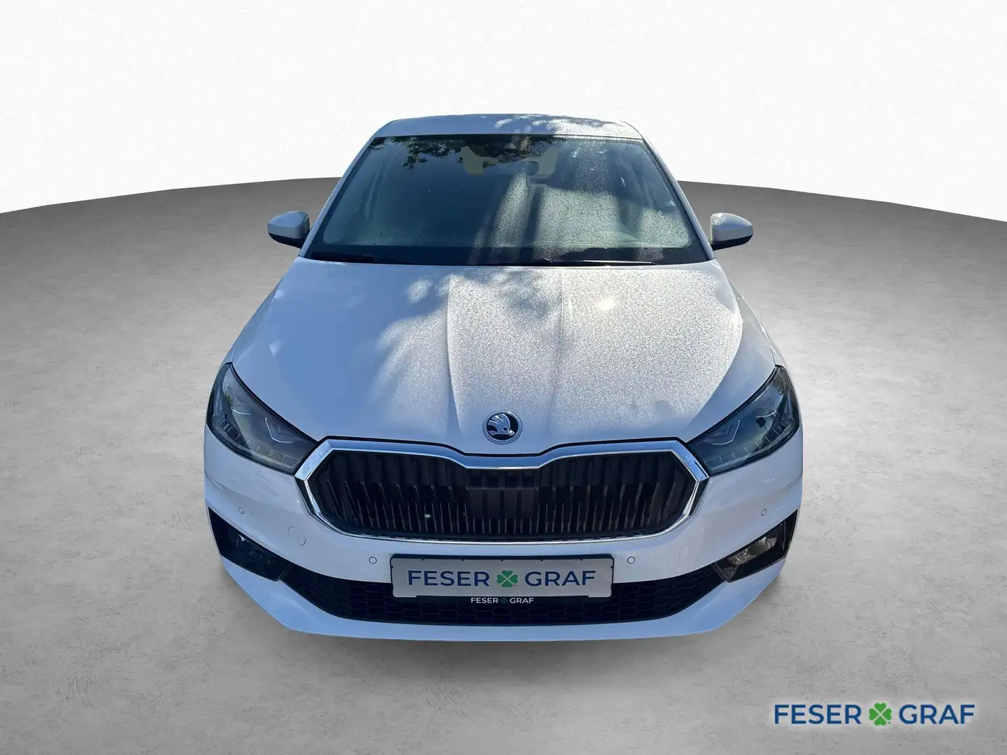 Skoda Fabia Drive 1.0 TSI 5-Gang *KESSY*KAMERA*WINTER Bianco - 2