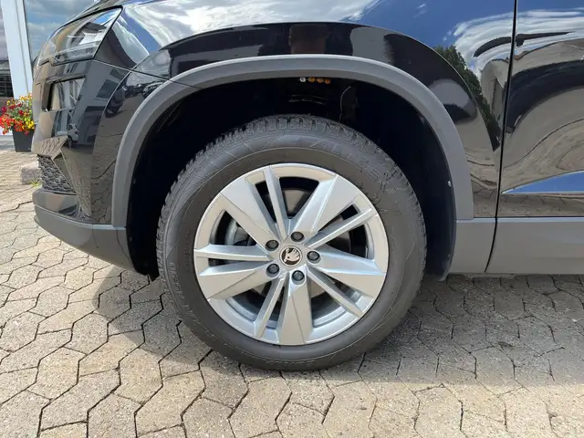 Skoda Karoq view 8
