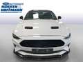 Ford Mustang GT Wit - thumbnail 2