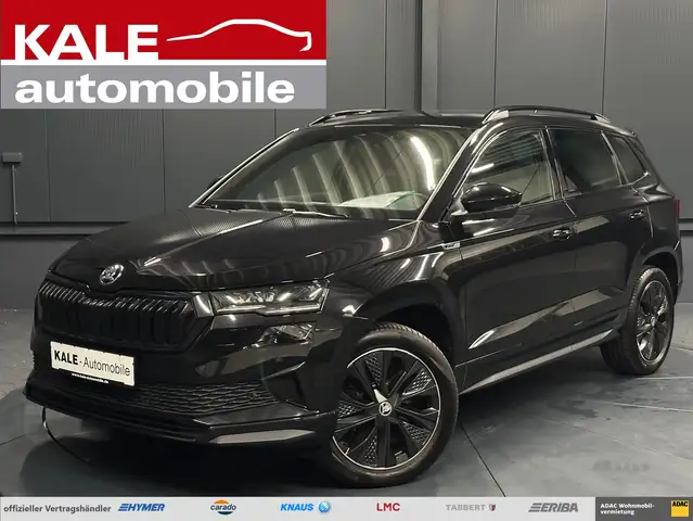 Skoda Karoq main image