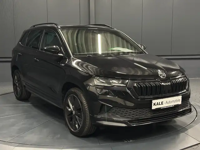 Skoda Karoq view 7