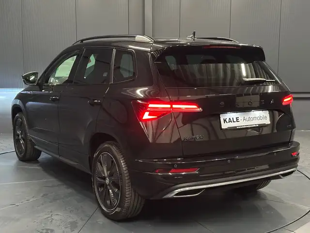 Skoda Karoq view 3
