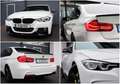 BMW 330 i xDrive M/360/APPLE/SHZ/LHZ/TOTW/KAMERA/R19 Weiß - thumbnail 9