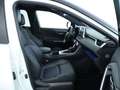 Toyota RAV 4 2.5 Hybrid Bi-Tone | Apple CarPlay | Android Auto Blanco - thumbnail 28