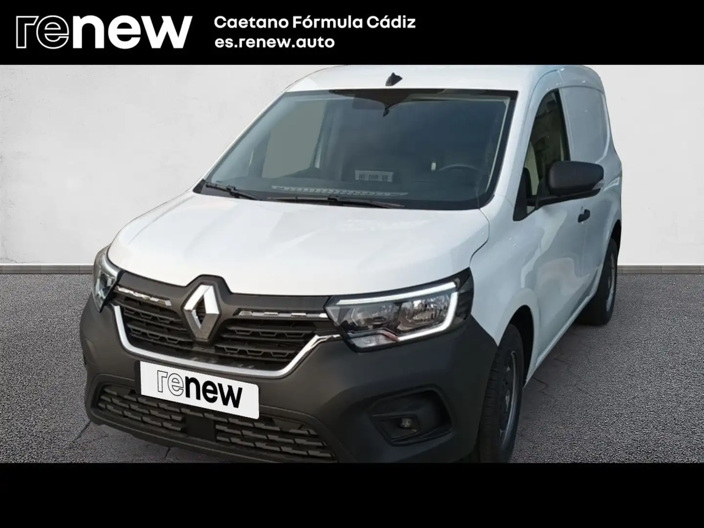 Renault Kangoo Furgón Profesional dCi 55 kW (75 CV) Bianco - 1