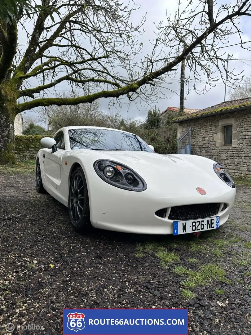 Oldtimer Ginetta G40R 2011 | Route 66 Auctions Wit - 2