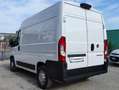 Fiat Ducato 33 CH2 2.3 M-JET FURGONE PASSO CORTO 3 PTI - 2019 Wit - thumbnail 5